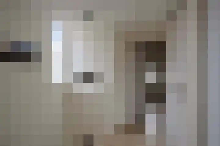 Oerraede 42 Vlodrop thumbnail 21