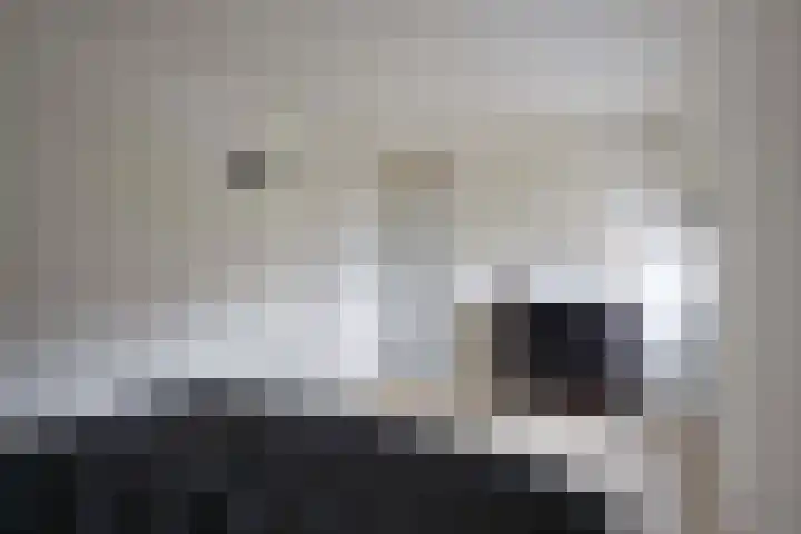 Oerraede 42 Vlodrop thumbnail 24