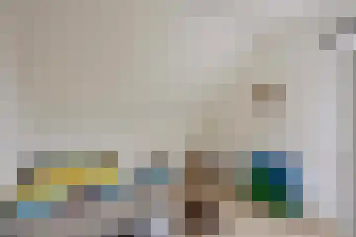 Oerraede 42 Vlodrop thumbnail 25
