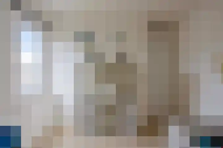 Oerraede 42 Vlodrop thumbnail 26