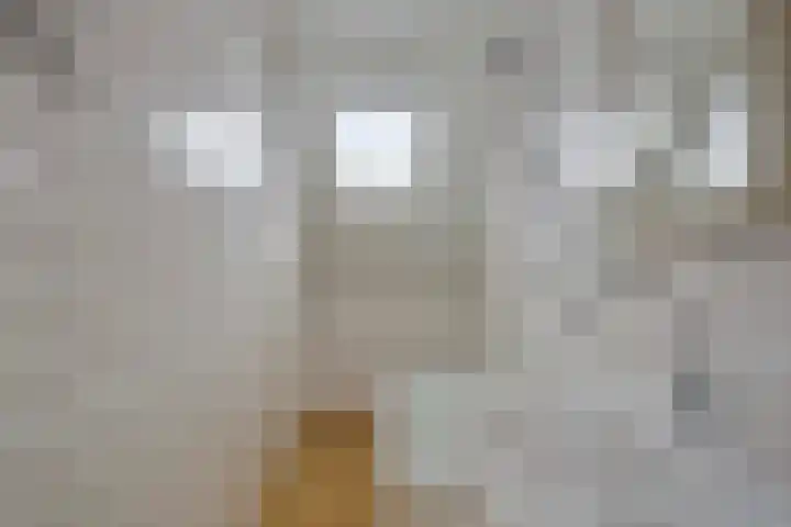 Oerraede 42 Vlodrop thumbnail 27