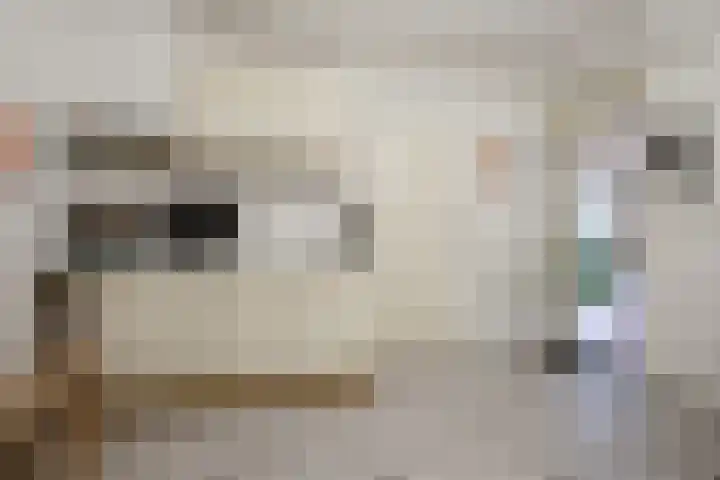 Oerraede 6 Vlodrop thumbnail 11