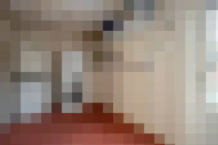 Oerraede 6 Vlodrop thumbnail 13