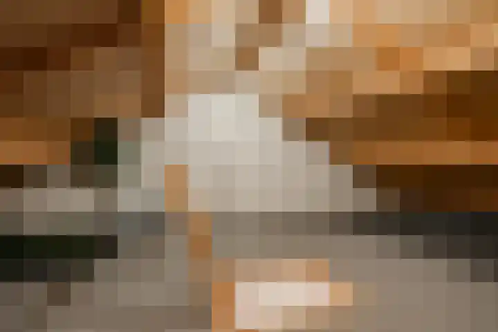Oerraede 6 Vlodrop thumbnail 23
