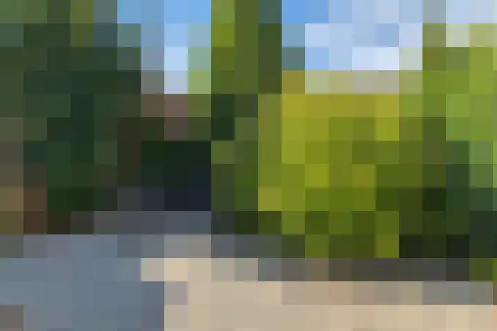 Oerraede 6 Vlodrop thumbnail 27