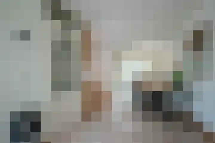 Oerraede 6 Vlodrop thumbnail 6