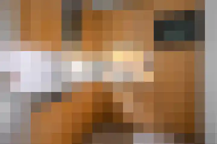 Oerraede 6 Vlodrop thumbnail 8