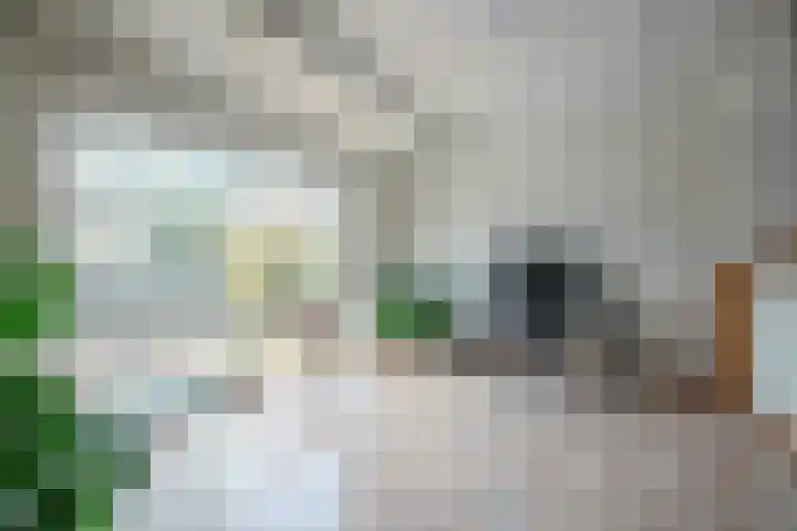Oerraede 6 Vlodrop thumbnail 9