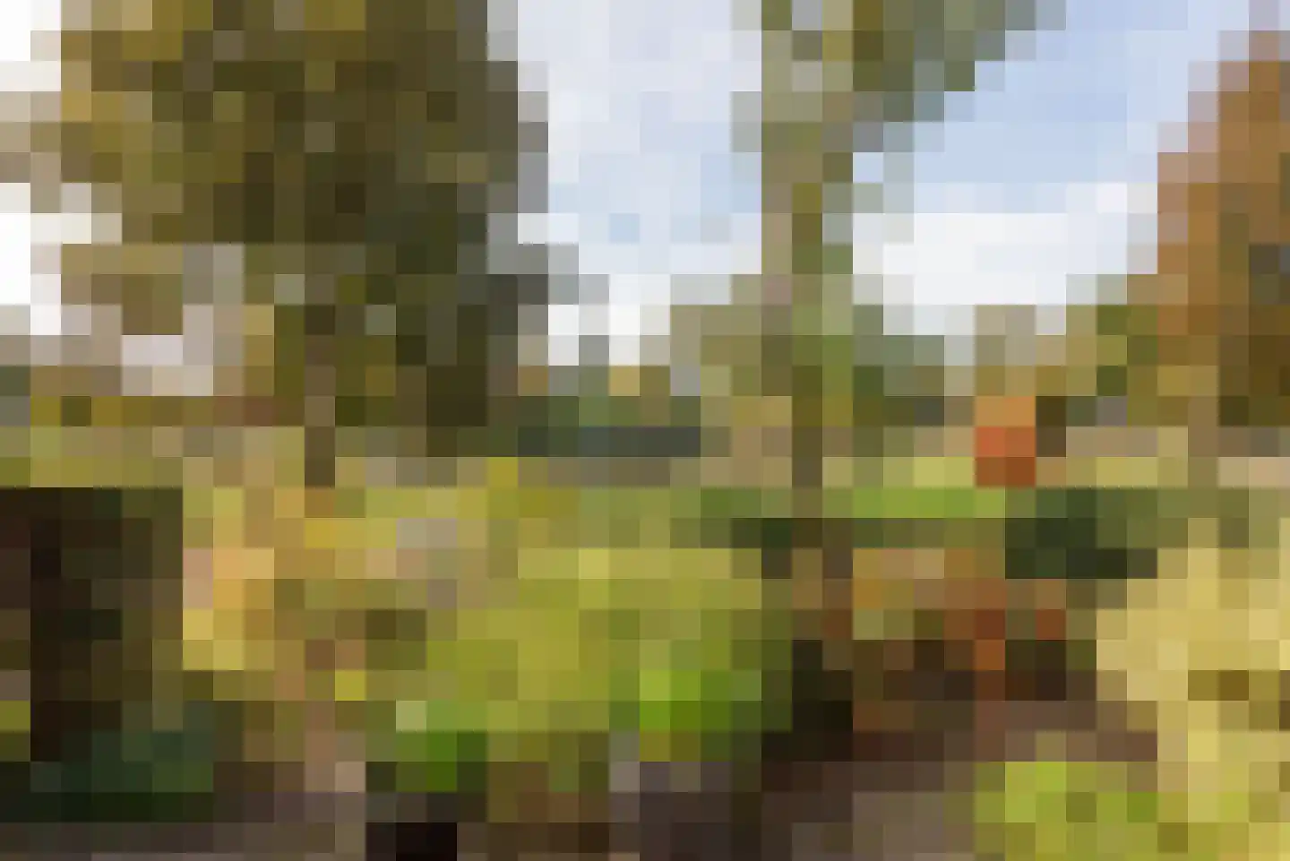 Oesdommerveen 40 Heiloo thumbnail 10