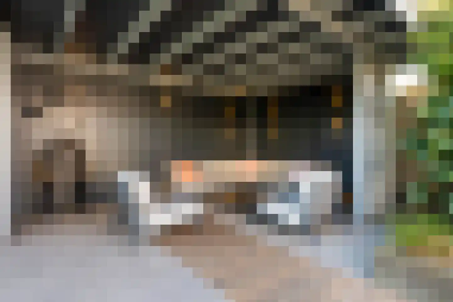 Oester 23 Bergen op Zoom thumbnail 43