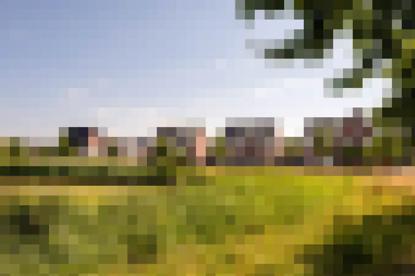 Oester 23 Bergen op Zoom thumbnail 49