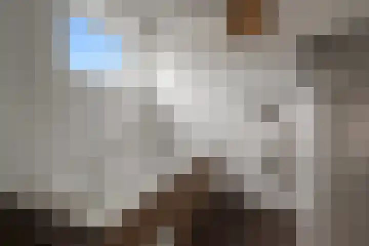 Oester 28 Middenmeer thumbnail 13
