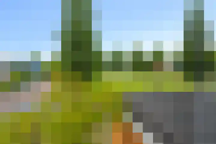 Oester 28 Middenmeer thumbnail 23