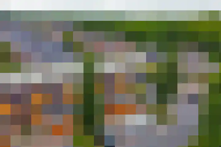 Oester 28 Middenmeer thumbnail 24