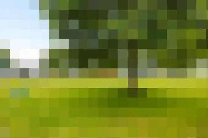 Oester 28 Middenmeer thumbnail 25