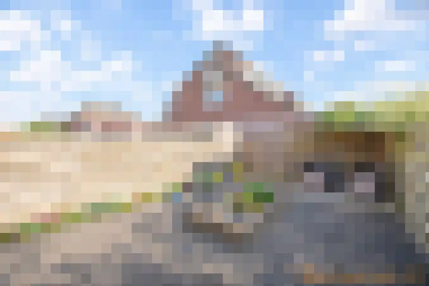 Oester 38 Middenmeer thumbnail 26
