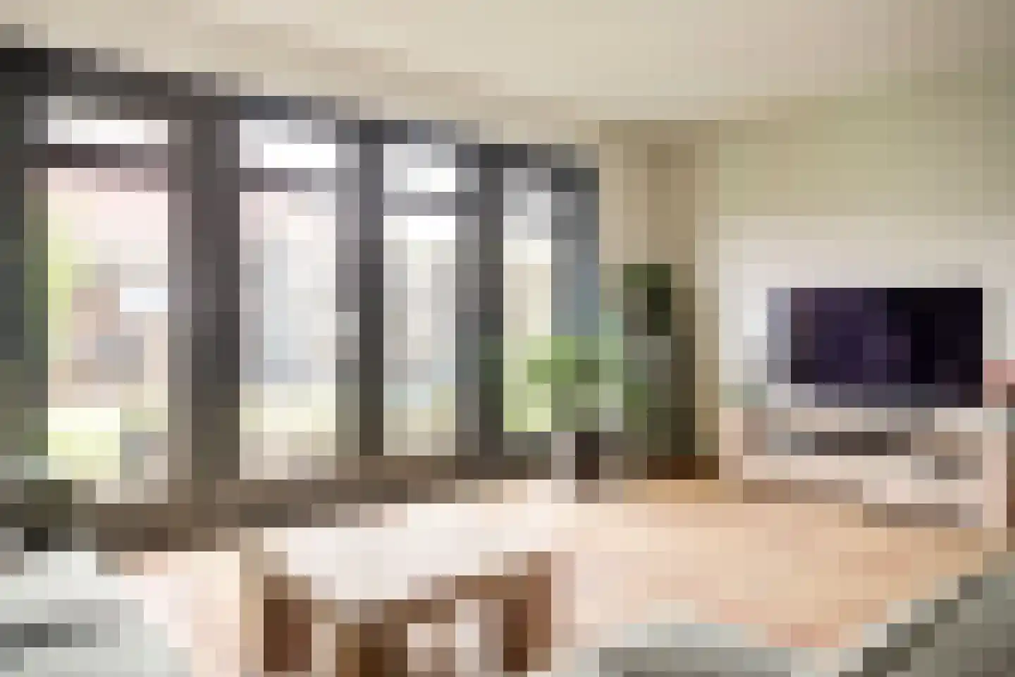 Oester 40 Middenmeer thumbnail 10