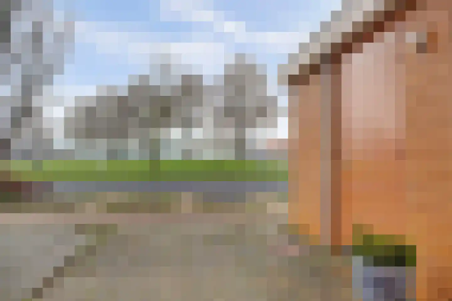 Oester 40 Middenmeer thumbnail 6