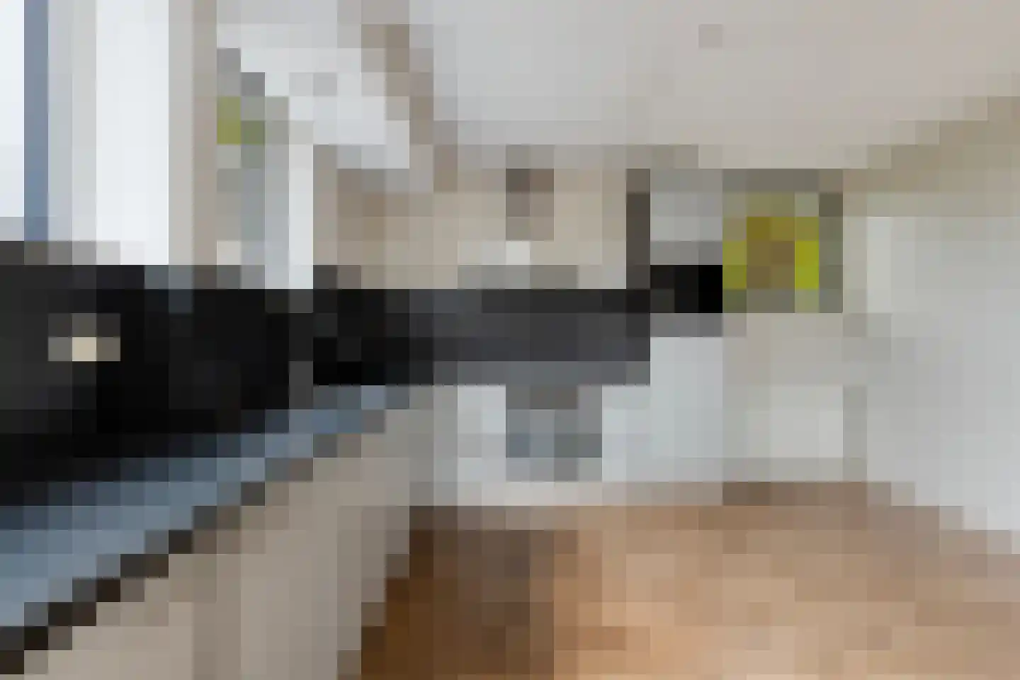 Oesterbank 11 Goes thumbnail 14