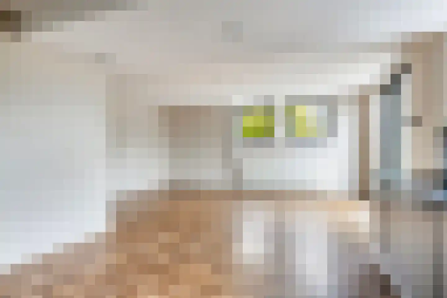 Oesterbank 11 Goes thumbnail 15