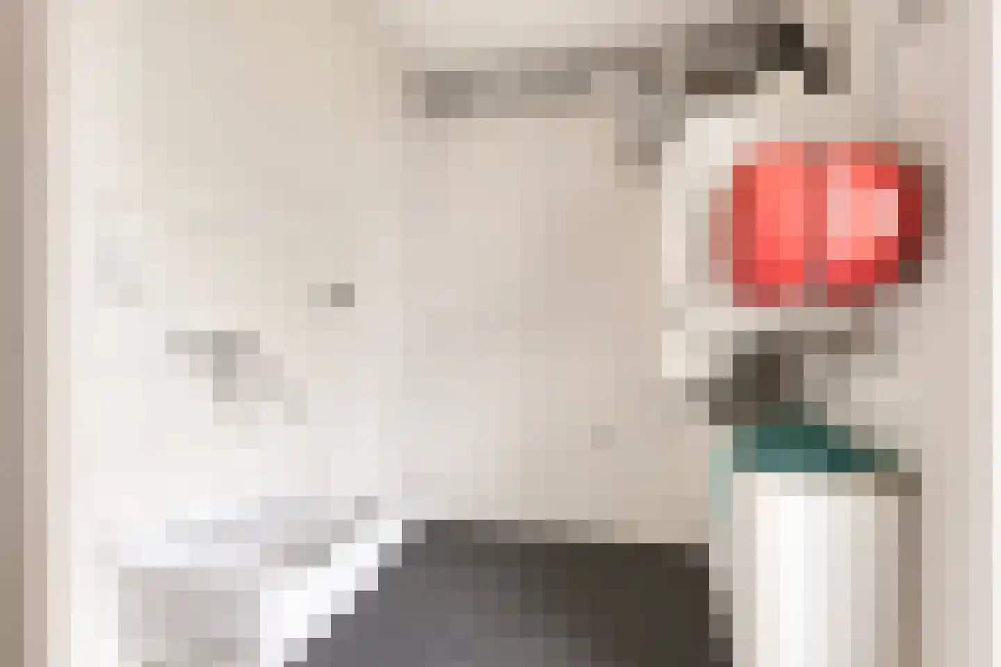 Oesterbank 11 Goes thumbnail 22