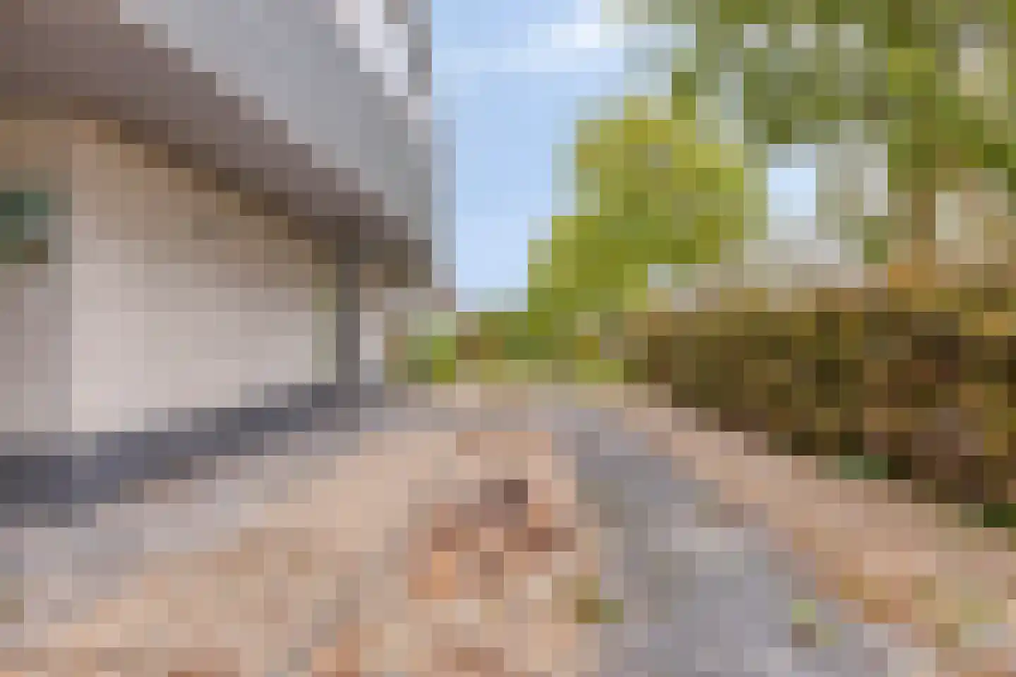 Oesterbank 11 Goes thumbnail 46