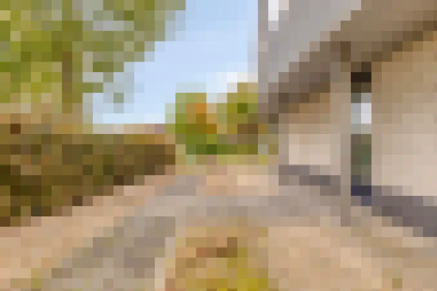 Oesterbank 11 Goes thumbnail 47