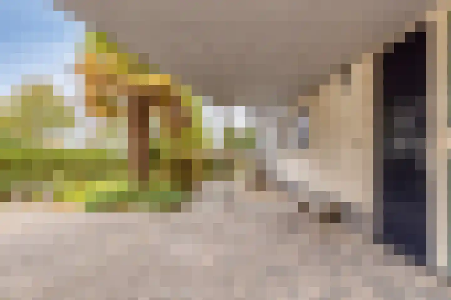 Oesterbank 11 Goes thumbnail 48