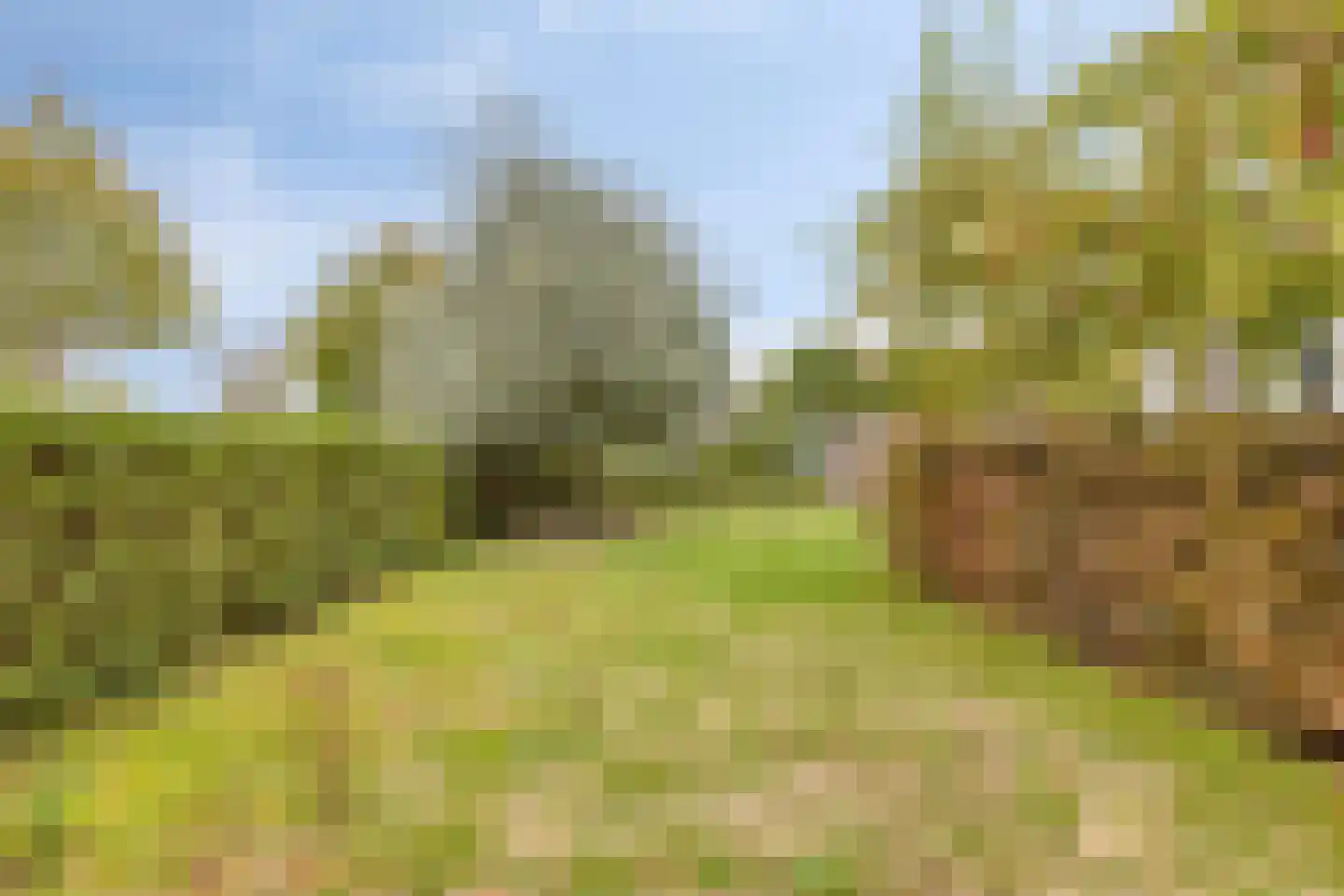 Oesterbank 11 Goes thumbnail 49