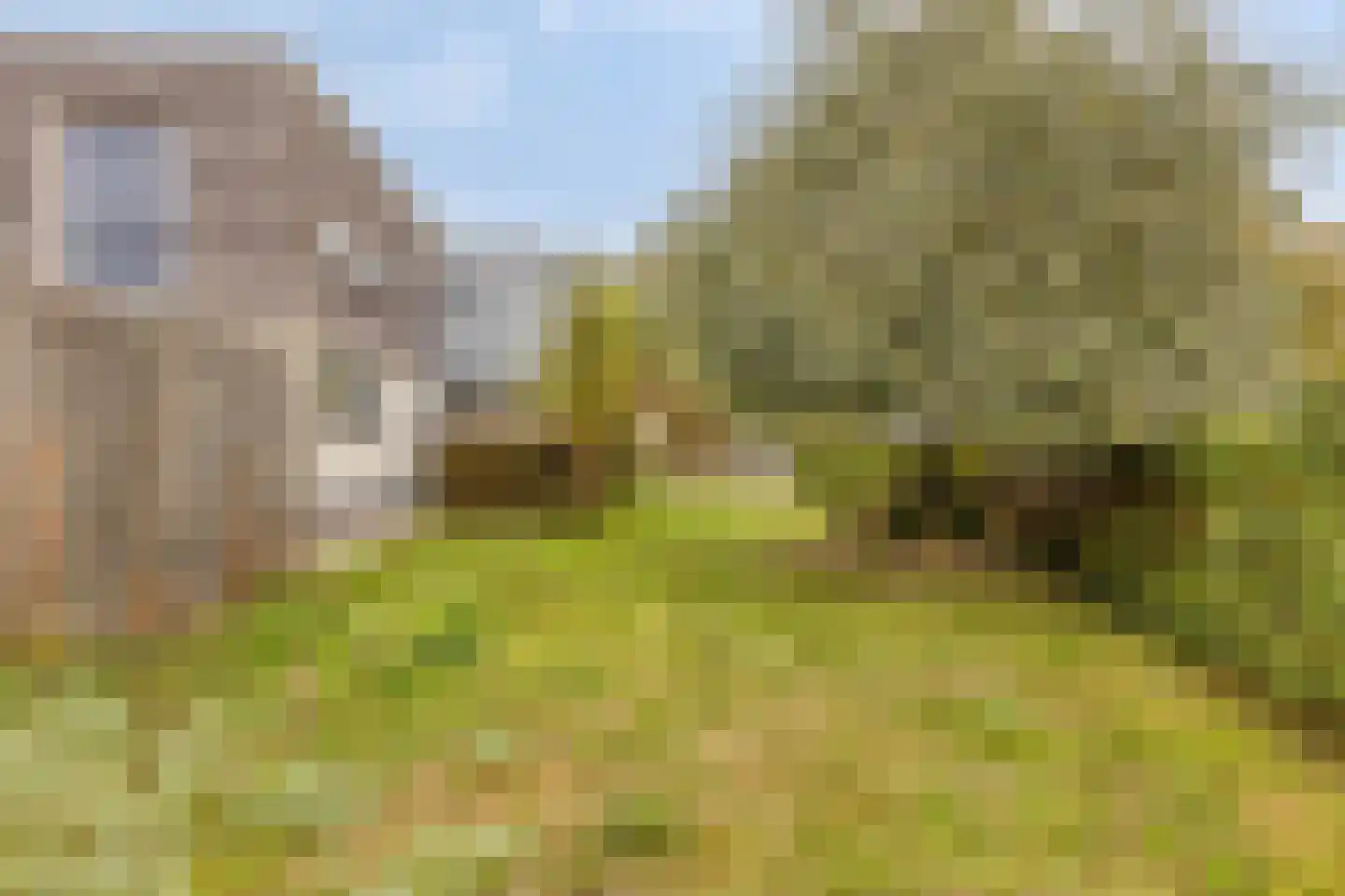 Oesterbank 11 Goes thumbnail 50