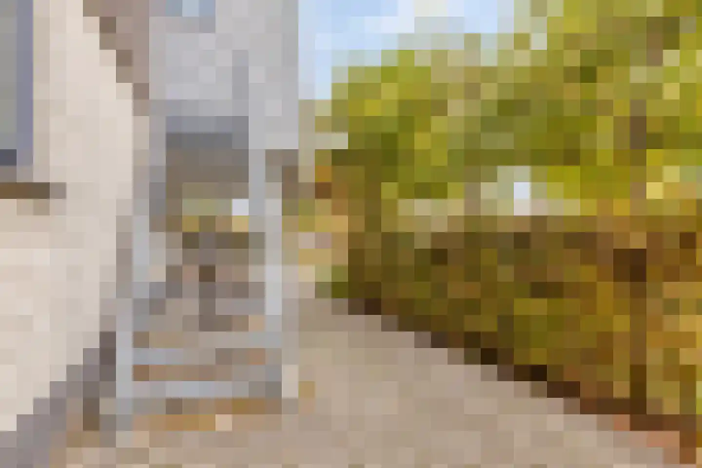 Oesterbank 11 Goes thumbnail 51