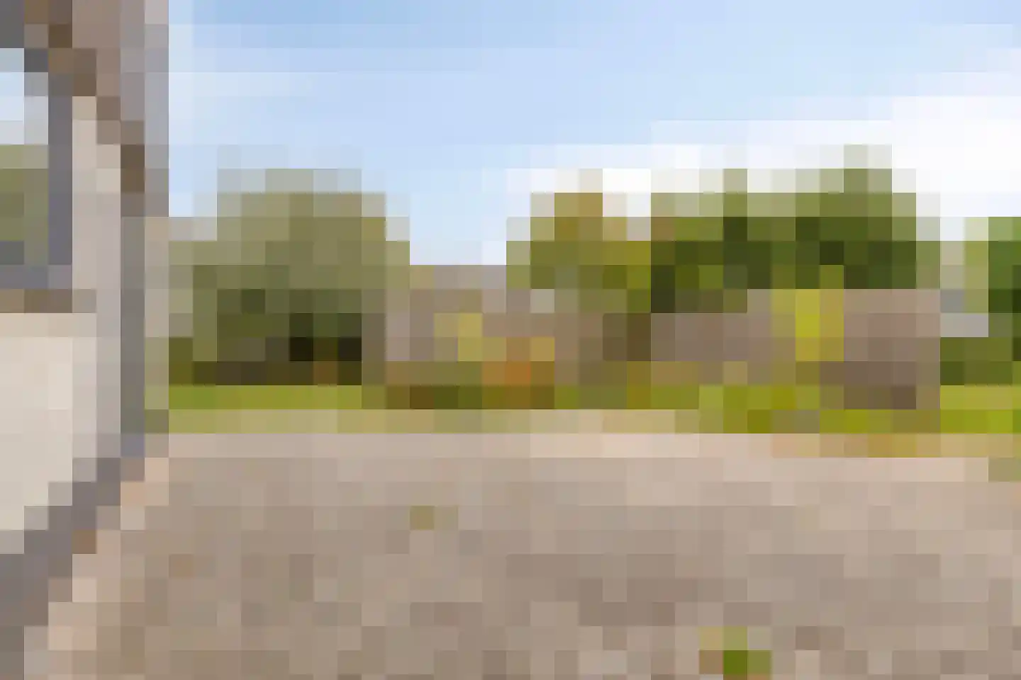 Oesterbank 11 Goes thumbnail 55