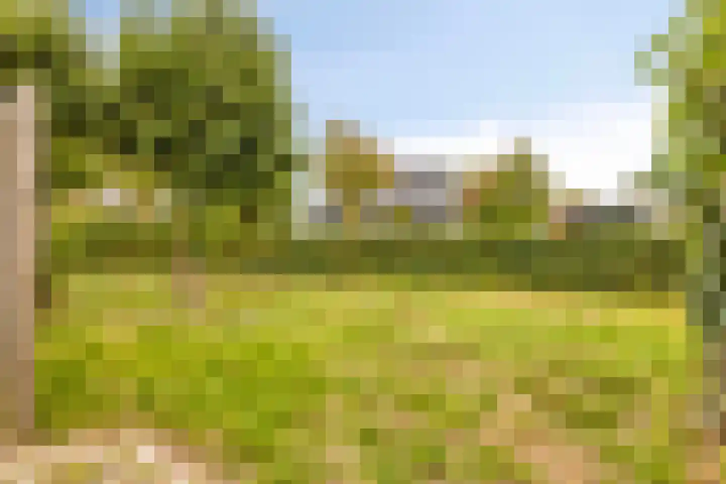 Oesterbank 11 Goes thumbnail 57