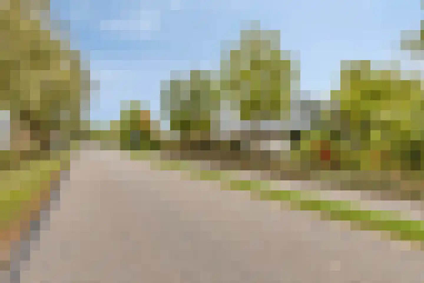Oesterbank 11 Goes thumbnail 65