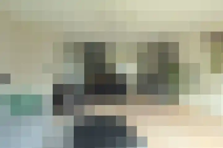 Oesterbank 11 Rhoon thumbnail 10