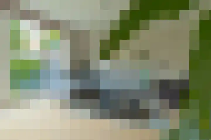 Oesterbank 11 Rhoon thumbnail 12