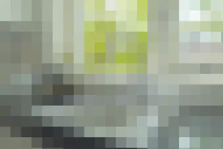 Oesterbank 11 Rhoon thumbnail 13