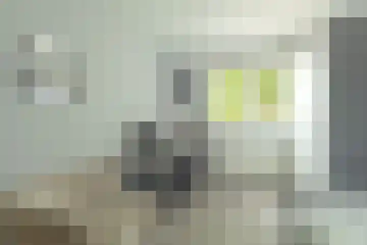 Oesterbank 11 Rhoon thumbnail 18
