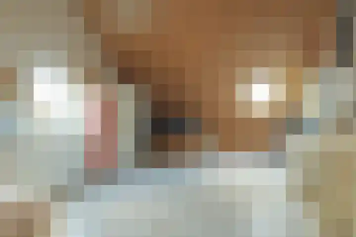 Oesterbank 11 Rhoon thumbnail 24