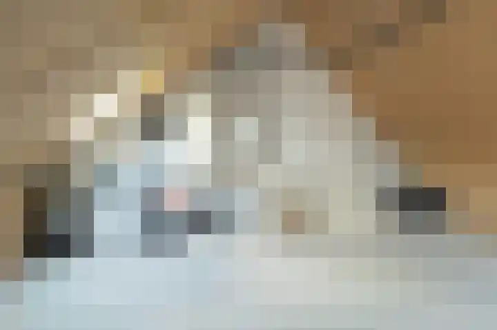 Oesterbank 11 Rhoon thumbnail 25