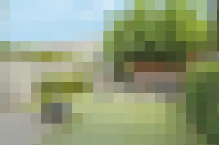 Oesterbank 11 Rhoon thumbnail 26