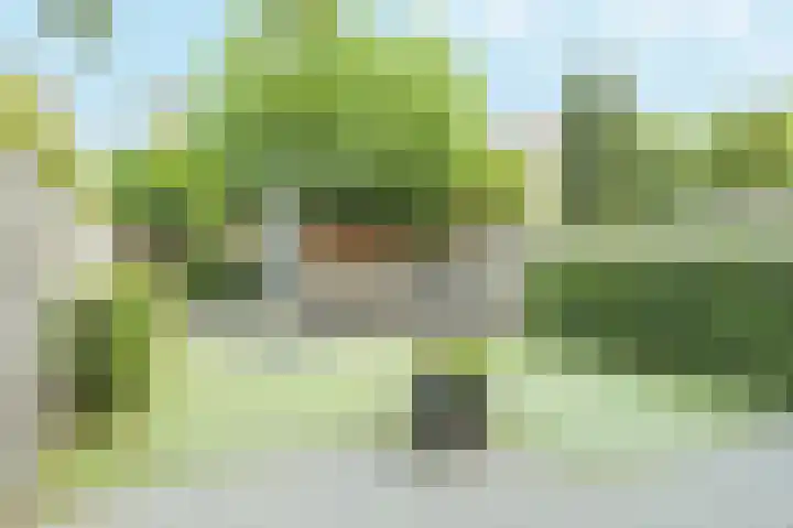 Oesterbank 11 Rhoon thumbnail 27