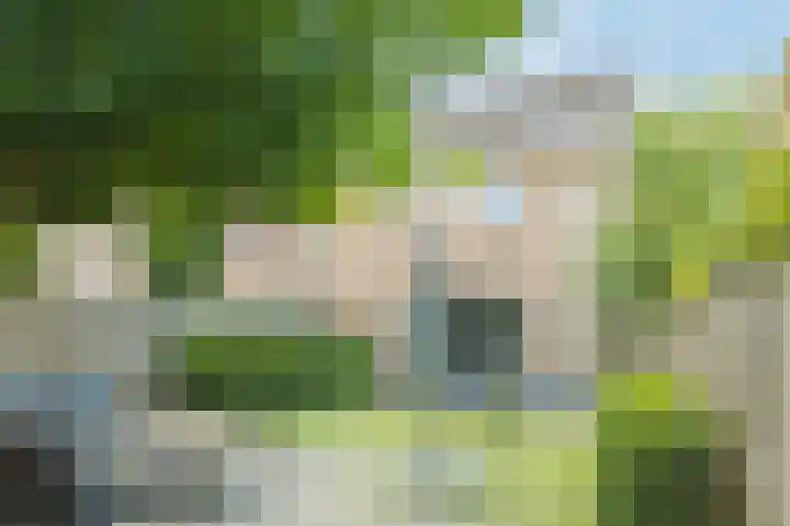 Oesterbank 11 Rhoon thumbnail 28