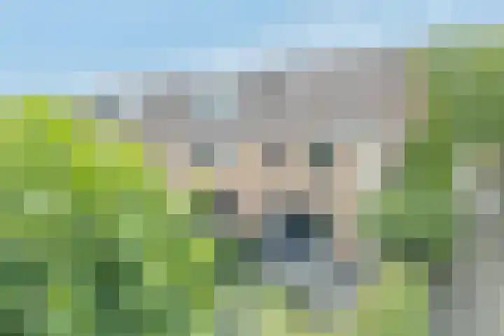 Oesterbank 11 Rhoon thumbnail 30
