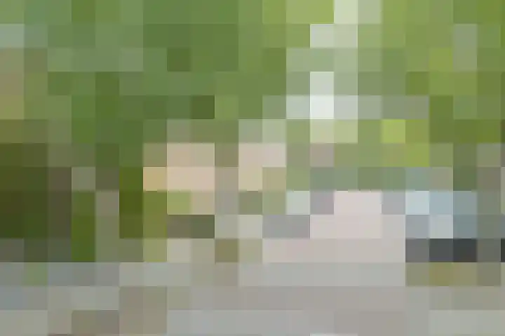 Oesterbank 11 Rhoon thumbnail 32