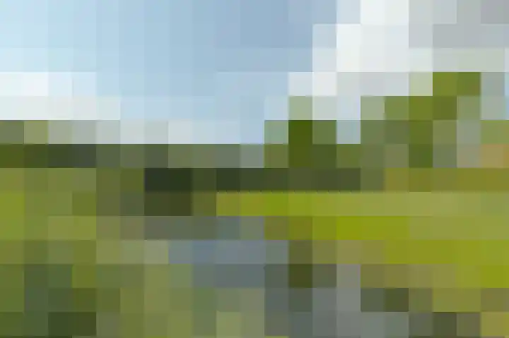 Oesterbank 11 Rhoon thumbnail 33