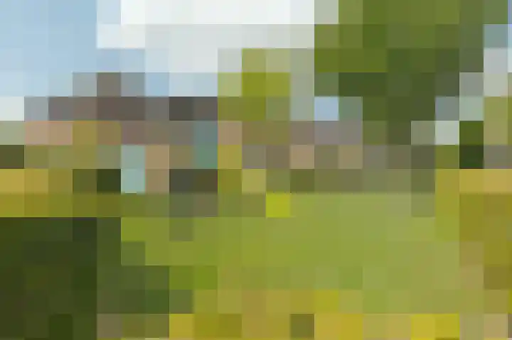 Oesterbank 11 Rhoon thumbnail 34