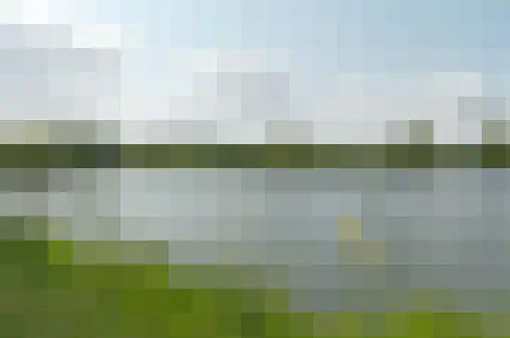 Oesterbank 11 Rhoon thumbnail 35