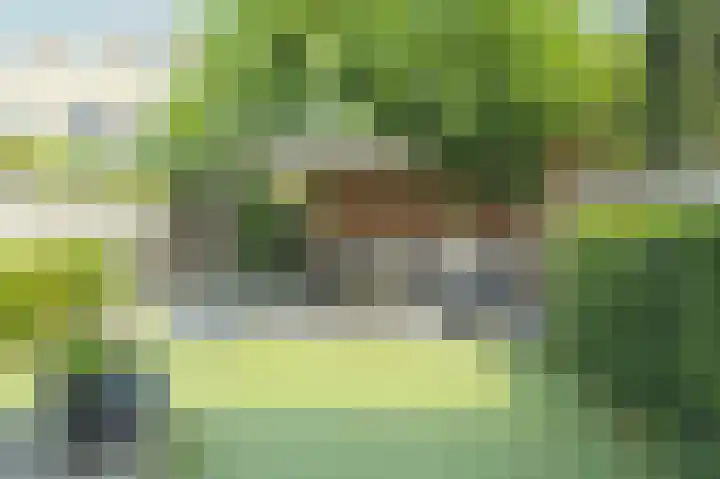 Oesterbank 11 Rhoon thumbnail 5