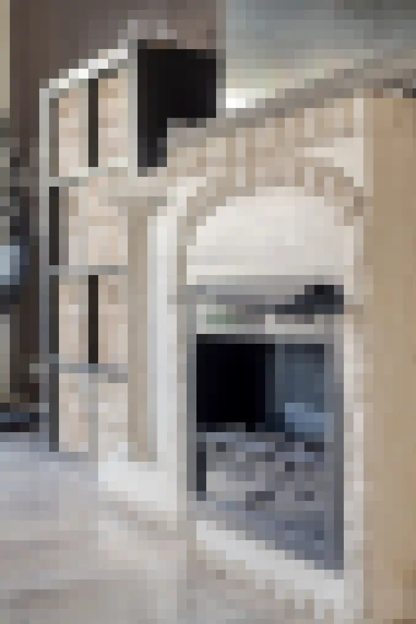 Oesterbank 15 Rhoon thumbnail 11